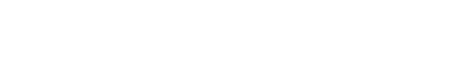 APV logo