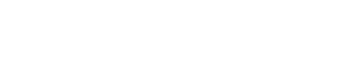 Boldrocchi logo