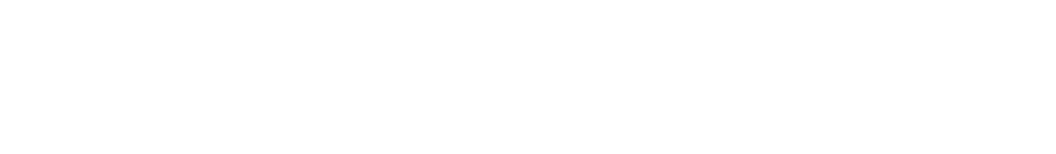 Bran+Luebbe logo