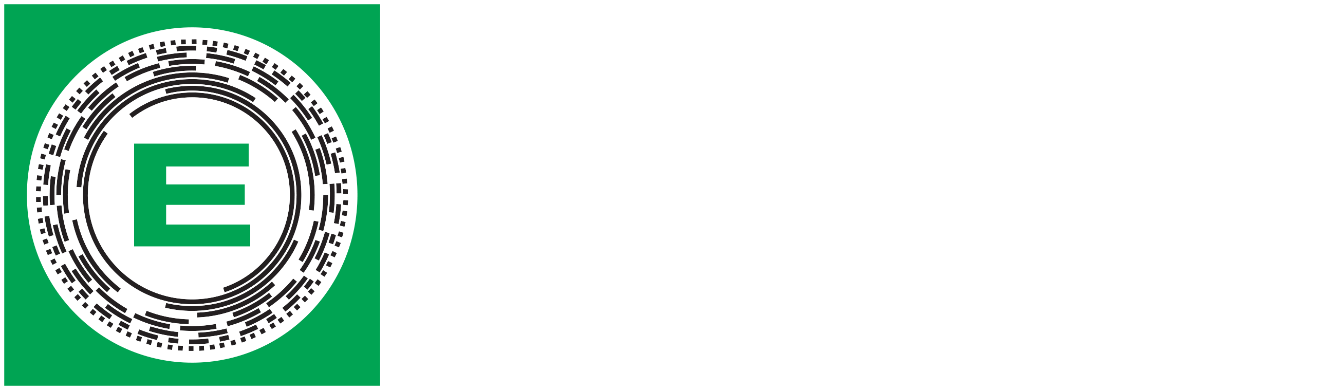 Elcis logo