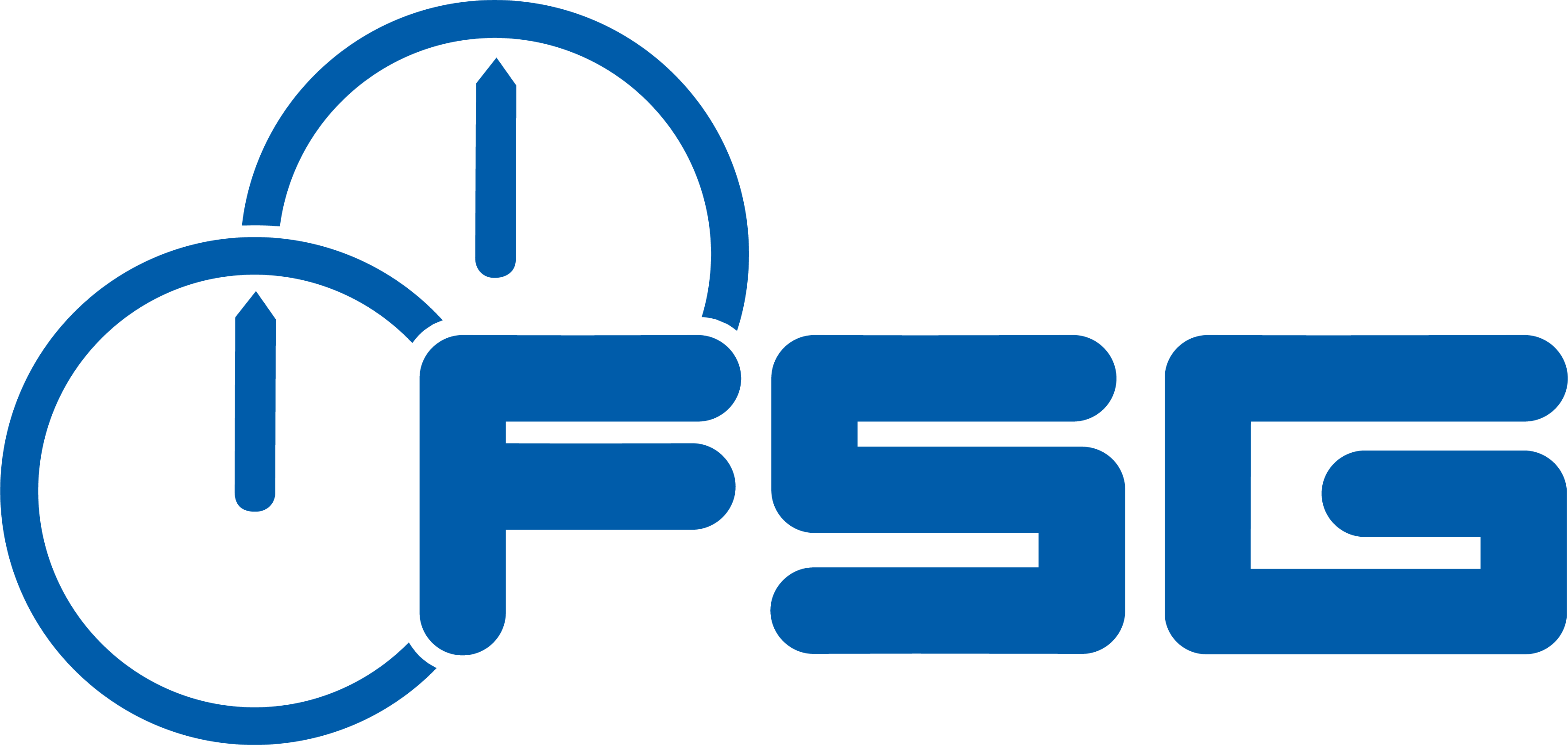 FSG Fernsteuergeräte logo