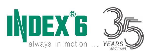 INDEX-6 logo