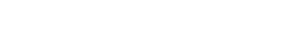 Lightnin logo