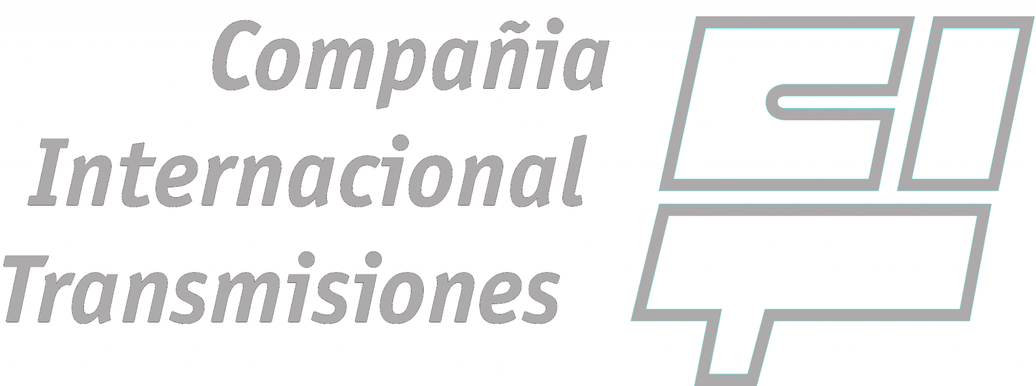 SAMIFLEX logo